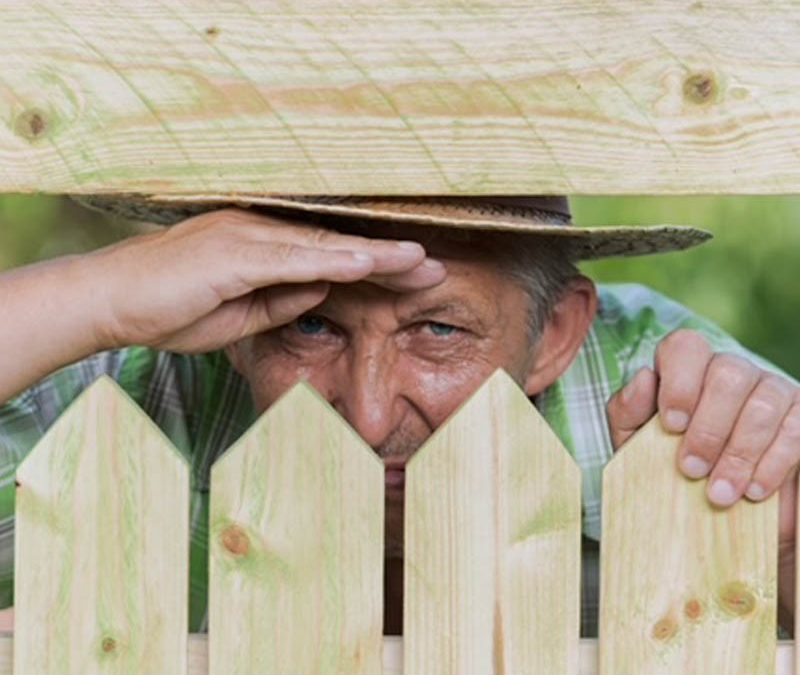 You Do Not Need To Think About Your Fence