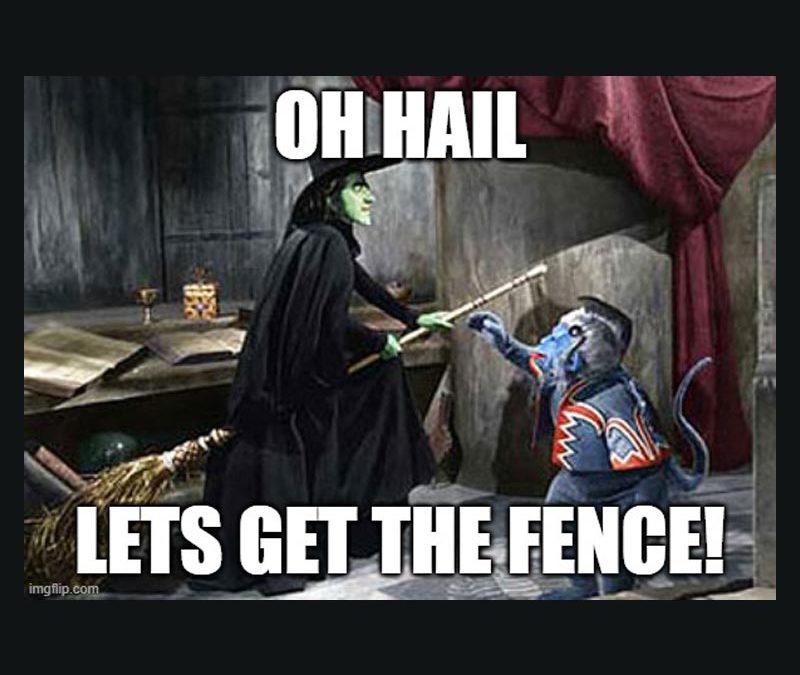 Oh Hail, My Fence Now Looks Terrible!